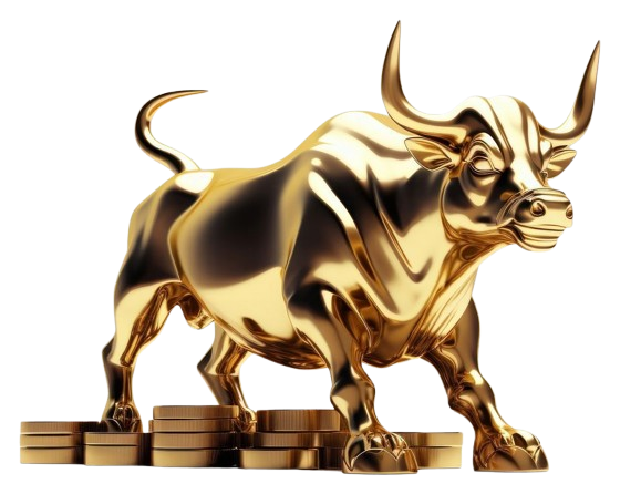 Trading charts and forex dashboard